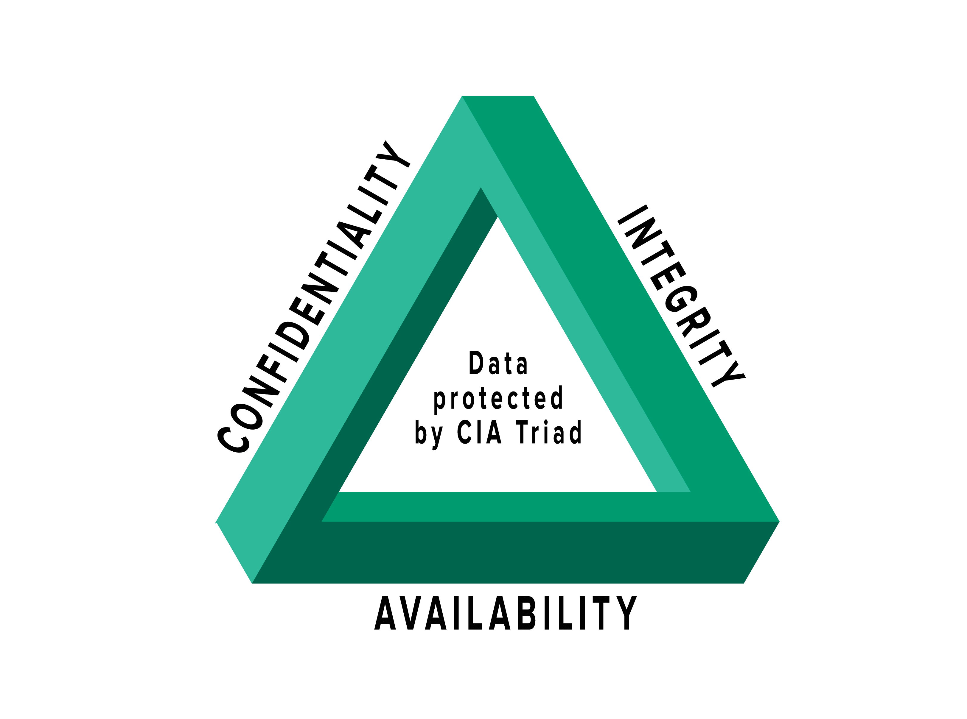 Risk Definitions and Identification